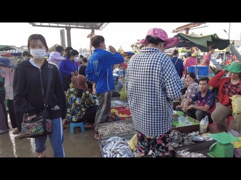 Here is amazing site for distribution fish & seafood | Chbar Ampov Market | Morning Scene Market