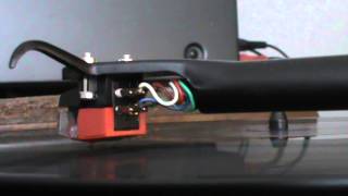 Dave &#39;Snaker&#39; Ray   Slappin&#39; On My Black Cat Bone