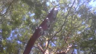 Golden Smog, Tell My Brother (Cover)