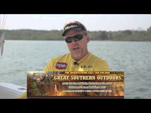 Bird Dogs in Action — hunting video from Great Southern Outdoors