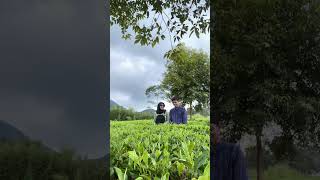 REMAKE MY HEART 😱😱😱⁉️⁉️⁉️ #myheart #wonosobo #kebuntehtambi