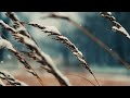 Cold Snowfall Sound Effect Copyright Free Nature Sounds ️