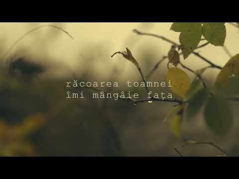 Ana Kui - Zi de toamnă ( Official Lyric Video )