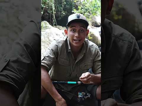 Monster-Aal im Fluss – Angel-Abenteuer | The Jungle Boy"  #fishing