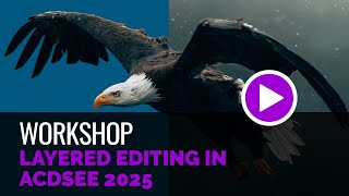 Layered Editing in ACDSee 2025