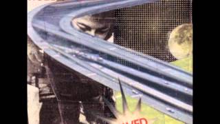 Robert Pollard - Pick Seeds From My Skull