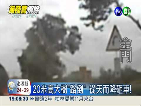 強風"推倒"大樹! 驚險砸車直擊