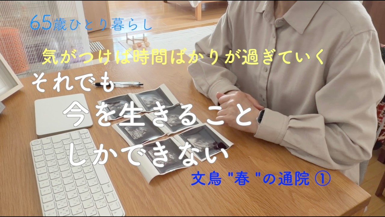 【65歳ひとり暮らし】気がつけば時間ばかりが過ぎていく それでも今を生きることしかできない／文鳥"春"の通院①／ひよこ豆粉のバナナブレッド／