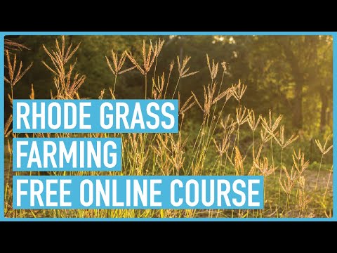 Profitable Pig Farming and Best Practices for success Course Outline