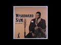 Washboard Sam - Phantom Black Snake