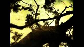 Aeon Spoke - Nothing