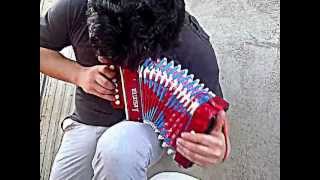 tavo garcia solo de puya con un acordeon de juguete