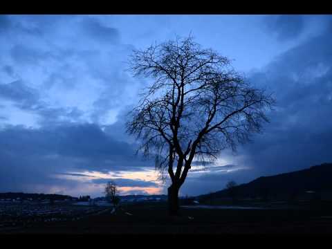 Ig bi nä Chirschiboum...