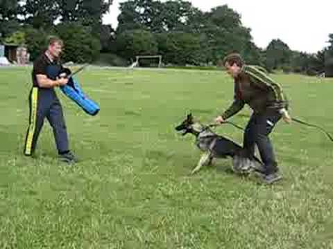 Jabina Ninja short attack