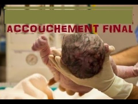 LA DELIVRANCE FINALE VIENT DE LA BINA