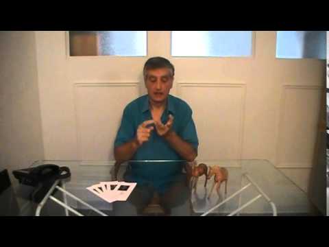 comment guerir candida albican