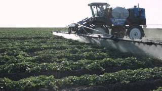 New Holland Smart: Bruce Frasier / The Onion Man