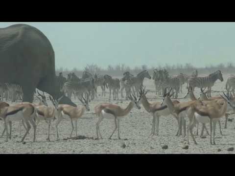 Namibia October 2016