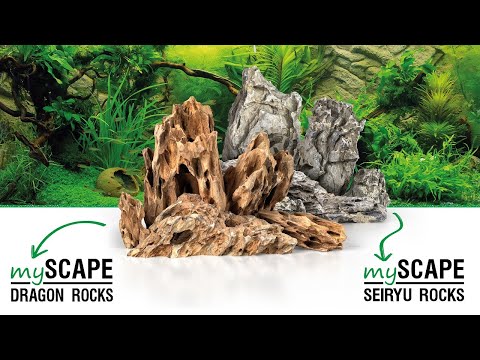 Das ideale Gestein für dein Süßwasseraquarium - 𝐀𝐑𝐊𝐀 𝐀𝐪𝐮𝐚𝐭𝐢𝐜𝐬 𝐦𝐲𝐒𝐜𝐚𝐩𝐞-𝐑𝐨𝐜𝐤𝐬 𝐃𝐫𝐚𝐠𝐨𝐧 & 𝐒𝐞𝐢𝐫𝐲𝐮.