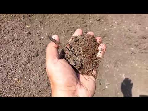 Phosphate Rich Organic Manure