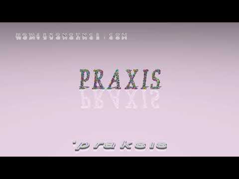 praxis - pronunciation + Examples in sentences and phrases