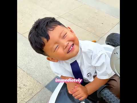 Do you have a personal bodyguard like this?  #pets #funny #dog