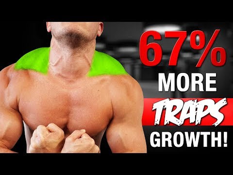 Muscular Strenght Title