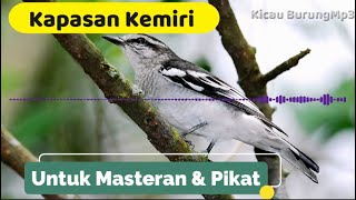 Download lagu Masteran burung kapasan kemiri Durasi Panjang | Kicau Burung Mp3 mp3 Download lagu Masteran burung kapasan kemiri Durasi Panjang | Kicau Burung Mp3 mp3