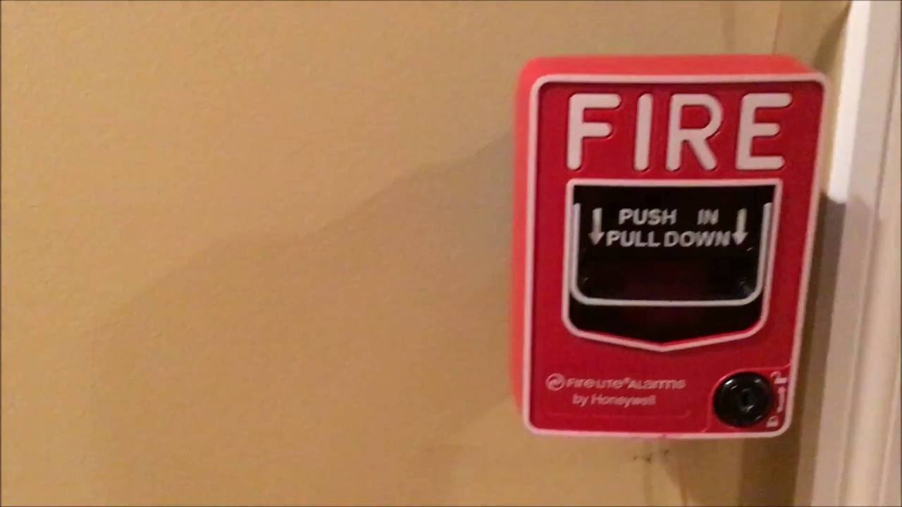 System Test 1. (With Fireman 24 Detector)