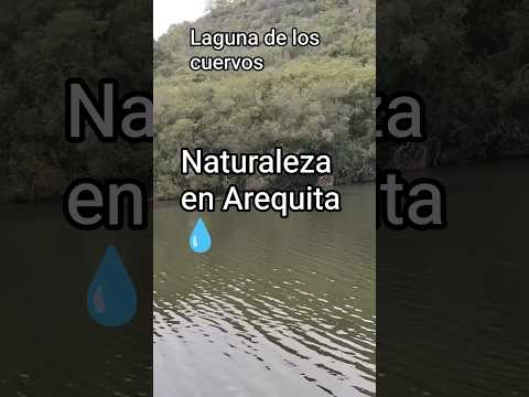 🌿 Laguna de los Cuervos en Arequita | Naturaleza y Paz en Lavalleja 🇺🇾
