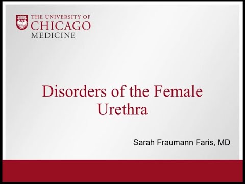 4.27.2020 Urology COViD Didactics - Disorders of the Female Urethra