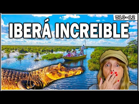 ASOMBRADOS, ¡YACARÉS A METROS DE LA LANCHA! | Esteros Del Iberá, Corrientes – LLXA