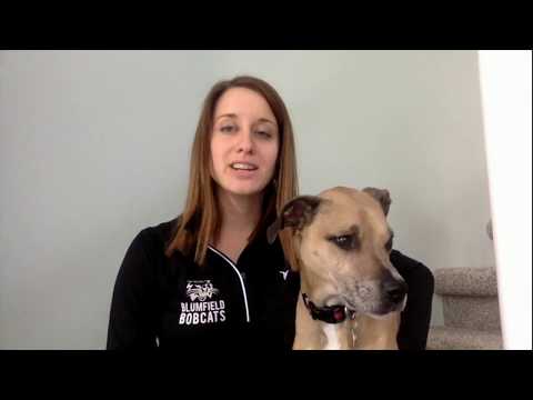 Blumfield Message to Families