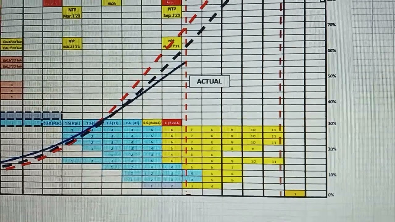 Level 1 Schedule / Learnings DAILY