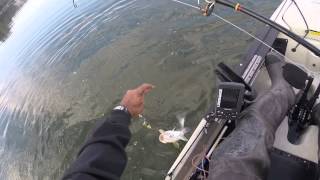 preview picture of video 'Fall Striped bass fishing'