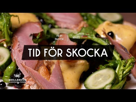 Melleruds x Filip Fastén – Tid för skocka