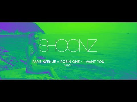 Paris Avenue feat. Robin One - I Want You 2018 (Froidz Remix Edit) (Official Video)