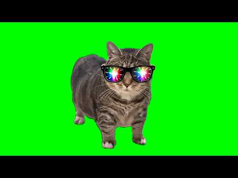 OIIA TECHNO CAT (Bemax Remix)