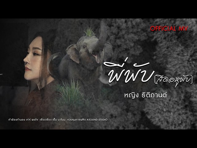 พี่พับ (สีดอหูพับ) - หญิง ธิติกานต์