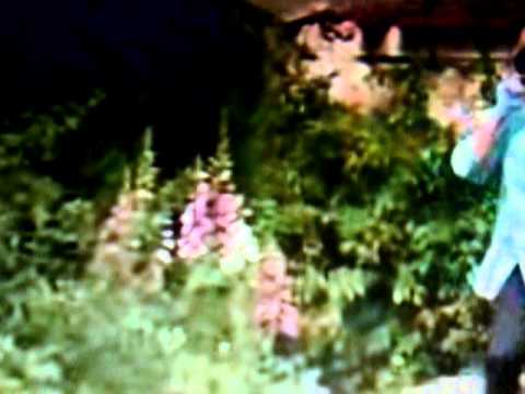 les visiteursII "la boîte à troubadours a flambé"