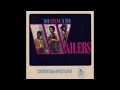 Bob Marley (Best of Wailers)  -  Hold On To This Feeling