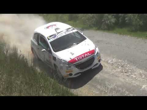 RALLY LIBURNA 2018 NEROBUTTO MENEGAZZO PEUGEOT 208 R2B