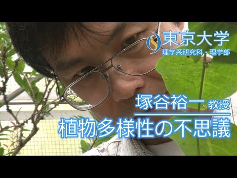 フランスでは植物の採取が禁止されている 規制により採取が禁止されている 公園 自然保護区 私有地 道端