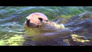 Rottnest is the simple pleasures in life