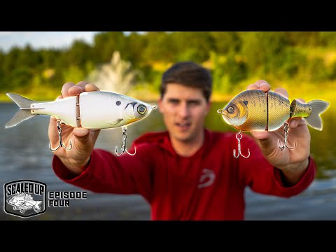 My BEST Big Swimbait Video YET!! ("Scaled Up" Ep. 4)