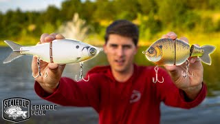 My BEST Big Swimbait Video YET!! ("Scaled Up" Ep. 4)