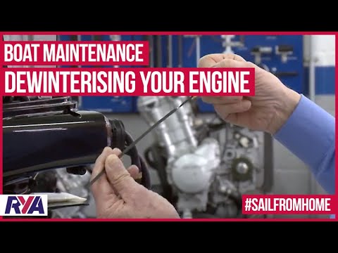 Boat Maintenance -  De-Winterizing your Engine - Top Tips from Suzuki Marine