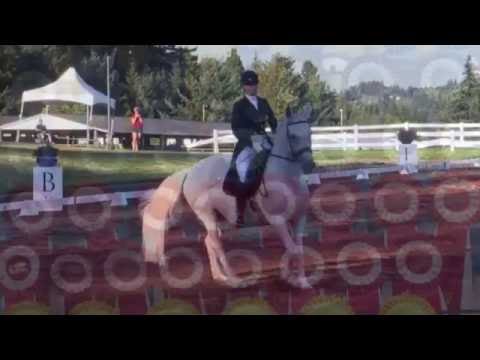 Dressage at Devonwood, July 2016