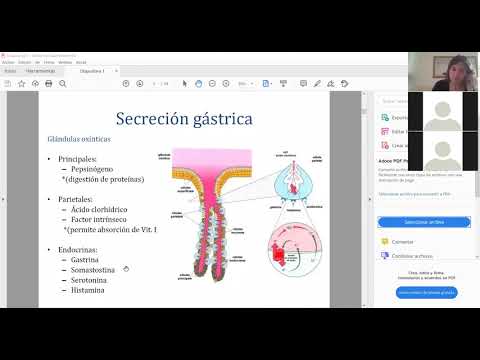 Farmacología del TGI