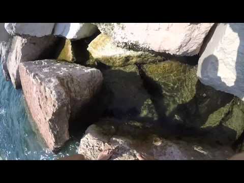 Rimini 2015 aftermovie